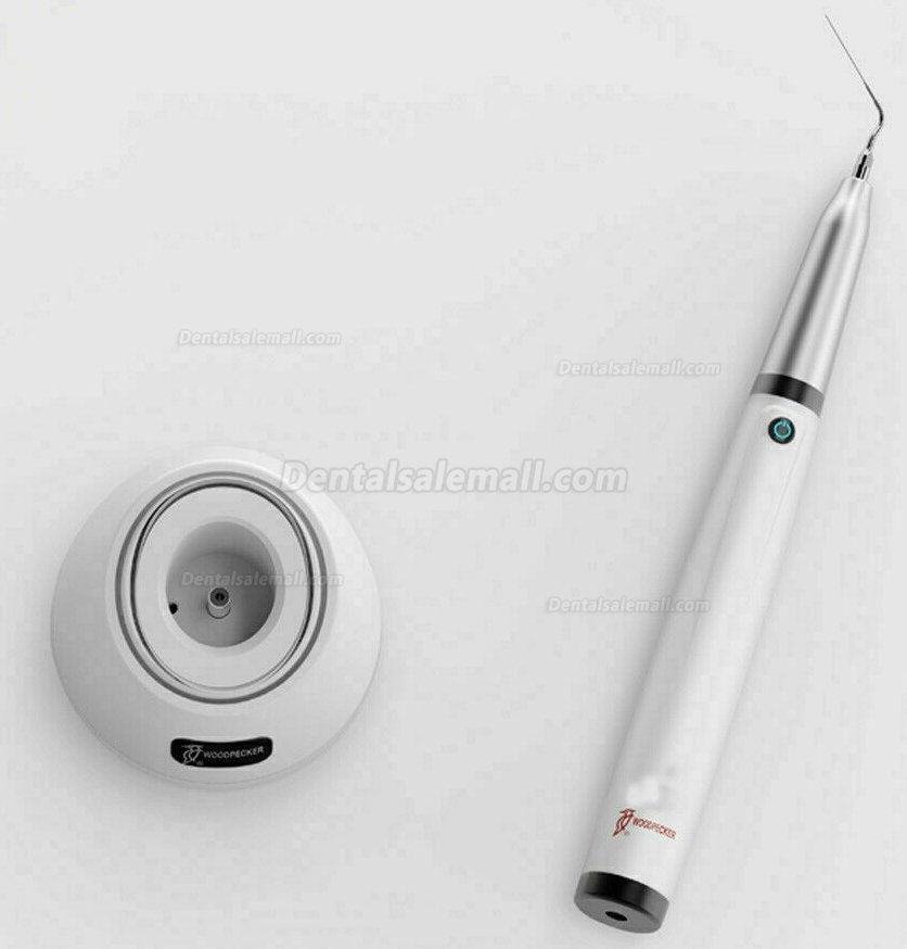 Woodpecker DTE Endo 1 Ergonomic Endo Irrigator Dental Ultrasonic Activator